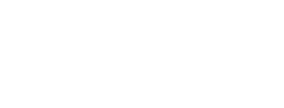 Dutch Passion logo