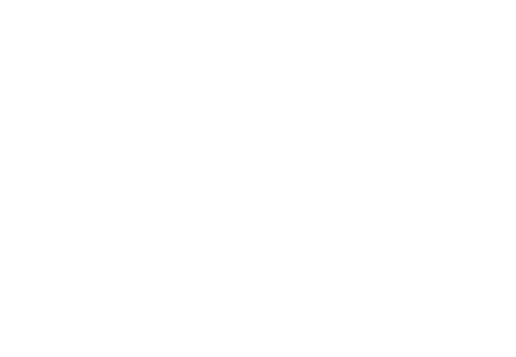 Jungle Boys logo
